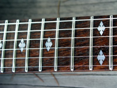 Moser Vintage Double Neck NT #1  - Click on picture for manual slideshow.