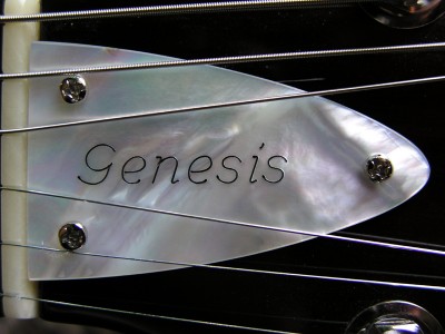 Genesis NT #2 - Click on picture for manual slideshow.