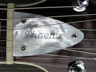 Moser Phoenix 10 NT Prototype  - Click on picture for manual slideshow.