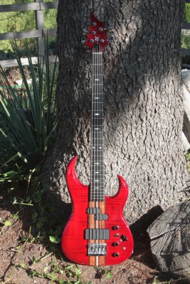 Scimitar NT Bass #2 - Click on picture for manual slideshow.