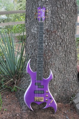 Spawn SV NT 5 String Bass - Click on picture for manual slideshow.