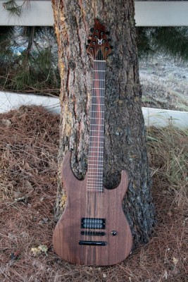 SS ST #7 - 7 String - Click on picture for manual slideshow.