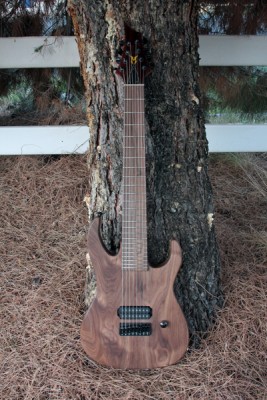 SS ST #8 - 8 String - Click on picture for manual slideshow.