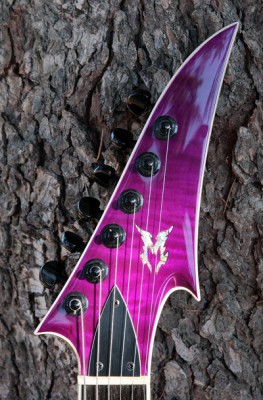 Basilisk Guitar - Prototype  - Click on picture for manual slideshow.