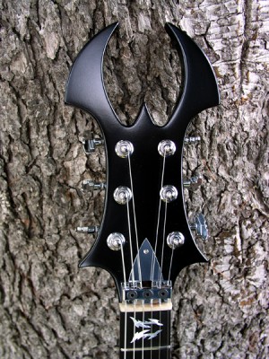 Beastmaster Prototype - Custom Built for Brian Hoffman  - Click on picture for manual slideshow.