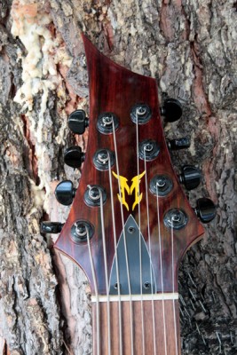 SS ST #8 - 8 String - Click on picture for manual slideshow.