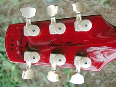 Misc. Custom Build - Custom LP Special - Set Neck - Click on picture for manual slideshow.